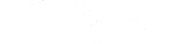 Culligan of Chico Logo