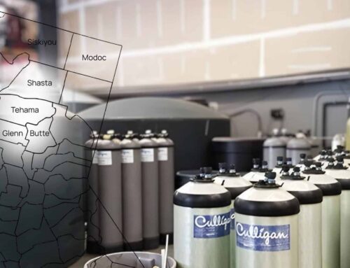 What Is the Best Whole House Water Filter for NorCal Homes?